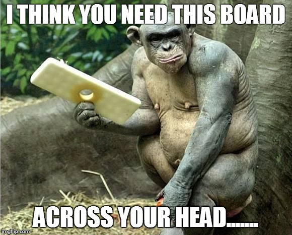 I THINK YOU NEED THIS BOARD ACROSS YOUR HEAD....... | image tagged in cinder the chimp | made w/ Imgflip meme maker