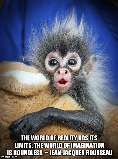 THE WORLD OF REALITY HAS ITS LIMITS; THE WORLD OF IMAGINATION IS BOUNDLESS. ~ JEAN-JACQUES ROUSSEAU | image tagged in baby spider monkey | made w/ Imgflip meme maker