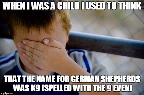 Confession Kid | WHEN I WAS A CHILD I USED TO THINK THAT THE NAME FOR GERMAN SHEPHERDS WAS K9 (SPELLED WITH THE 9 EVEN) | image tagged in memes,confession kid | made w/ Imgflip meme maker