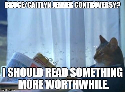 Because in the end, nobody should really give a crap. | BRUCE/CAITLYN JENNER CONTROVERSY? I SHOULD READ SOMETHING MORE WORTHWHILE. | image tagged in memes,i should buy a boat cat,caitlyn jenner | made w/ Imgflip meme maker