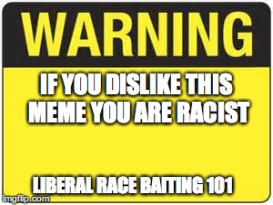 blank warning sign | IF YOU DISLIKE THIS MEME YOU ARE RACIST LIBERAL RACE BAITING 101 | image tagged in blank warning sign | made w/ Imgflip meme maker