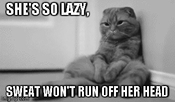 Lazy cat meme | SHE'S SO LAZY, SWEAT WON'T RUN OFF HER HEAD | image tagged in cat,lazy,southernisms | made w/ Imgflip meme maker