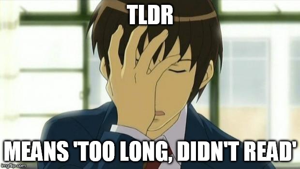 Kyon Facepalm Ver 2 | TLDR MEANS 'TOO LONG, DIDN'T READ' | image tagged in kyon facepalm ver 2 | made w/ Imgflip meme maker