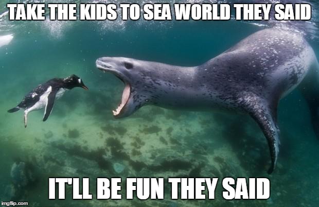 Nature | TAKE THE KIDS TO SEA WORLD THEY SAID IT'LL BE FUN THEY SAID | image tagged in scary | made w/ Imgflip meme maker