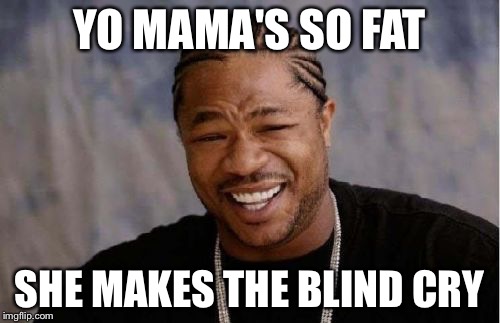 Yo Dawg Heard You | YO MAMA'S SO FAT SHE MAKES THE BLIND CRY | image tagged in memes,yo dawg heard you | made w/ Imgflip meme maker