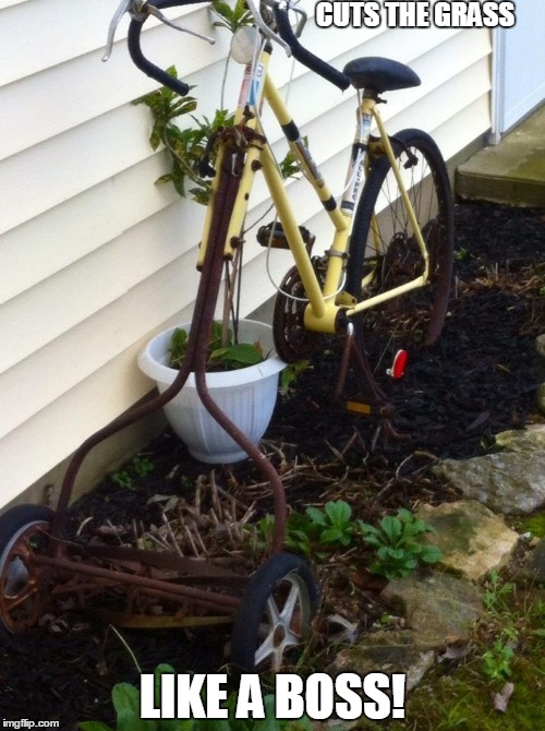 Meanwhile in Indiana | CUTS THE GRASS LIKE A BOSS! | image tagged in america | made w/ Imgflip meme maker