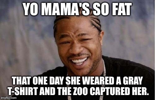 Yo Dawg Heard You | YO MAMA'S SO FAT THAT ONE DAY SHE WEARED A GRAY T-SHIRT AND THE ZOO CAPTURED HER. | image tagged in memes,yo dawg heard you | made w/ Imgflip meme maker