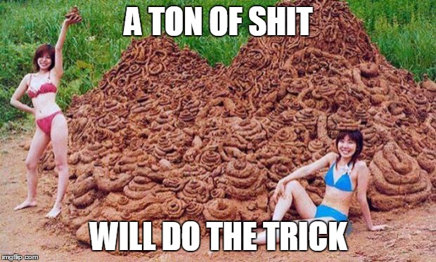 ton o poop | A TON OF SHIT WILL DO THE TRICK | image tagged in ton o poop | made w/ Imgflip meme maker