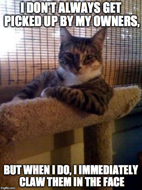 The Most Interesting Cat In The World Meme | I DON'T ALWAYS GET PICKED UP BY MY OWNERS, BUT WHEN I DO, I IMMEDIATELY CLAW THEM IN THE FACE | image tagged in memes,the most interesting cat in the world | made w/ Imgflip meme maker