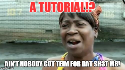 Ain't Nobody Got Time For That | A TUTORIAL!? AIN'T NOBODY GOT TEIM FOR DAT SH3T M8! | image tagged in memes,aint nobody got time for that | made w/ Imgflip meme maker