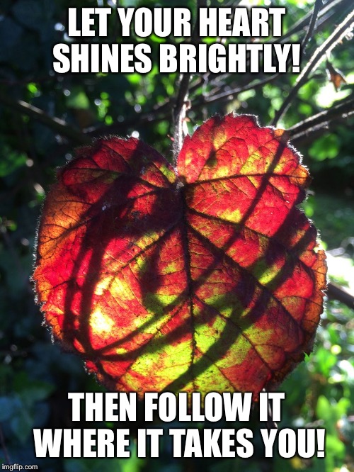 Mom Mak Spiritual Photography  | LET YOUR HEART SHINES BRIGHTLY! THEN FOLLOW IT WHERE IT TAKES YOU! | image tagged in mom mak spiritual photography | made w/ Imgflip meme maker