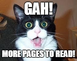 Holy Shit are you Sexy. | GAH! MORE PAGES TO READ! | image tagged in holy shit are you sexy | made w/ Imgflip meme maker