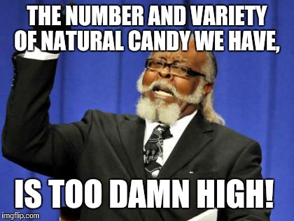 Too Damn High Meme | THE NUMBER AND VARIETY OF NATURAL CANDY WE HAVE, IS TOO DAMN HIGH! | image tagged in memes,too damn high | made w/ Imgflip meme maker