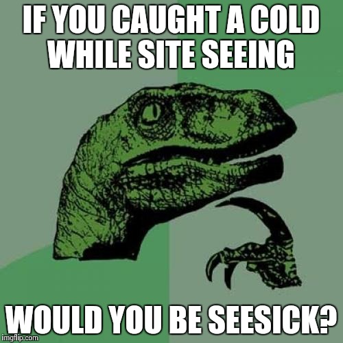 Philosoraptor | IF YOU CAUGHT A COLD WHILE SITE SEEING WOULD YOU BE SEESICK? | image tagged in memes,philosoraptor | made w/ Imgflip meme maker