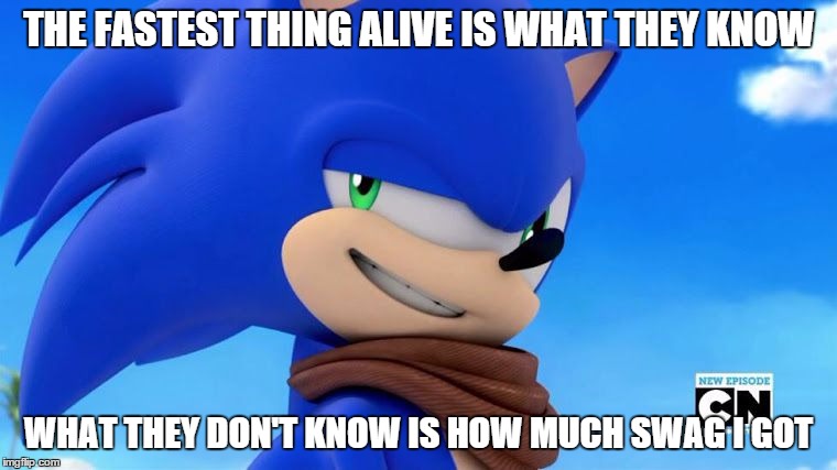 Sonic Meme | THE FASTEST THING ALIVE IS WHAT THEY KNOW WHAT THEY DON'T KNOW IS HOW MUCH SWAG I GOT | image tagged in sonic meme | made w/ Imgflip meme maker