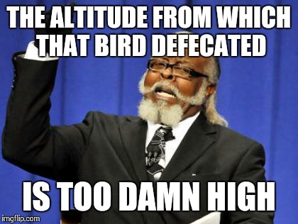 Too Damn High Meme | THE ALTITUDE FROM WHICH THAT BIRD DEFECATED IS TOO DAMN HIGH | image tagged in memes,too damn high | made w/ Imgflip meme maker