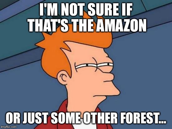 Futurama Fry Meme | I'M NOT SURE IF THAT'S THE AMAZON OR JUST SOME OTHER FOREST… | image tagged in memes,futurama fry | made w/ Imgflip meme maker
