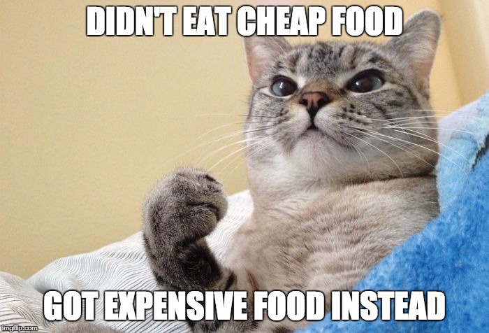 Success Cat | DIDN'T EAT CHEAP FOOD GOT EXPENSIVE FOOD INSTEAD | image tagged in success cat | made w/ Imgflip meme maker