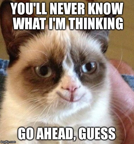 Evil thoughts grumpy cat - Imgflip