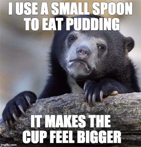 Confession Bear Meme | I USE A SMALL SPOON TO EAT PUDDING IT MAKES THE CUP FEEL BIGGER | image tagged in memes,confession bear,AdviceAnimals | made w/ Imgflip meme maker