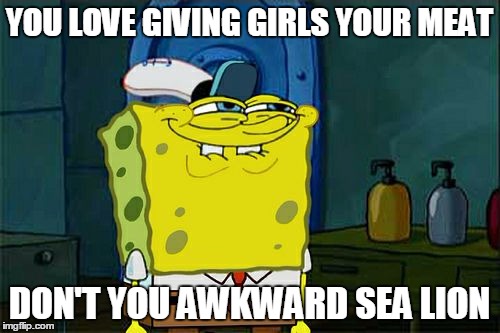 Don't You Squidward Meme | YOU LOVE GIVING GIRLS YOUR MEAT DON'T YOU AWKWARD SEA LION | image tagged in memes,dont you squidward | made w/ Imgflip meme maker
