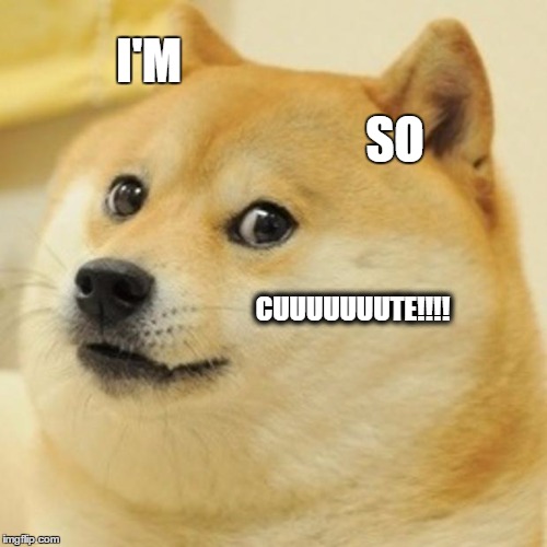 Doge Meme | I'M SO CUUUUUUUTE!!!! | image tagged in memes,doge | made w/ Imgflip meme maker