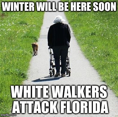WINTER WILL BE HERE SOON WHITE WALKERS ATTACK FLORIDA | image tagged in white walker | made w/ Imgflip meme maker