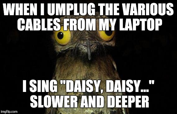 Weird Stuff I Do Potoo | WHEN I UMPLUG THE VARIOUS CABLES FROM MY LAPTOP I SING "DAISY, DAISY..." SLOWER AND DEEPER | image tagged in memes,weird stuff i do potoo,AdviceAnimals | made w/ Imgflip meme maker