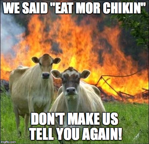 Evil Cows Meme | WE SAID "EAT MOR CHIKIN" DON'T MAKE US TELL YOU AGAIN! | image tagged in memes,evil cows | made w/ Imgflip meme maker