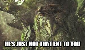 He's Just Not That Ent To You | HE'S JUST NOT THAT ENT TO YOU | image tagged in tolkein,lord of the rings,ents,movies,he's just not that into you,puns | made w/ Imgflip meme maker