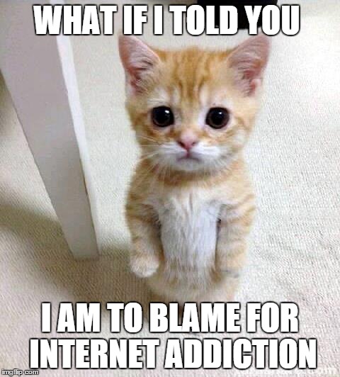 Cute Cat | WHAT IF I TOLD YOU I AM TO BLAME FOR INTERNET ADDICTION | image tagged in memes,cute cat | made w/ Imgflip meme maker