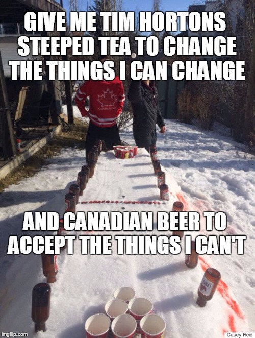 GIVE ME TIM HORTONS STEEPED TEA TO CHANGE THE THINGS I CAN CHANGE AND CANADIAN BEER TO ACCEPT THE THINGS I CAN'T | image tagged in canada | made w/ Imgflip meme maker