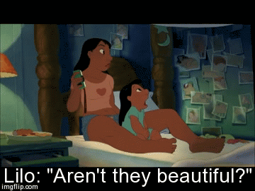 Animated Gif Imgflip