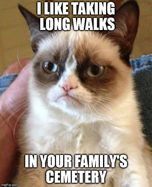 Grumpy Cat | I LIKE TAKING LONG WALKS IN YOUR FAMILY'S CEMETERY | image tagged in memes,grumpy cat | made w/ Imgflip meme maker