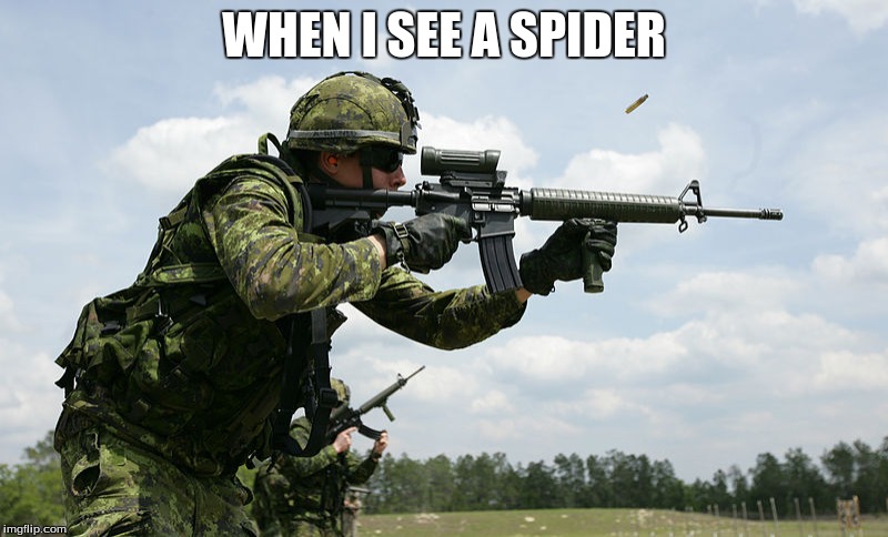 When I see a spider | WHEN I SEE A SPIDER | image tagged in memes,soldier,spider | made w/ Imgflip meme maker
