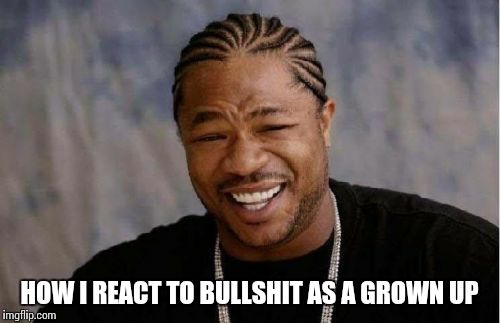 Yo Dawg Heard You Meme | HOW I REACT TO BULLSHIT AS A GROWN UP | image tagged in memes,yo dawg heard you | made w/ Imgflip meme maker