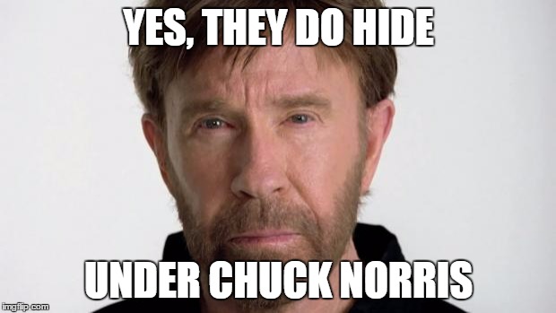 Chuck Norris | YES, THEY DO HIDE UNDER CHUCK NORRIS | image tagged in chuck norris | made w/ Imgflip meme maker