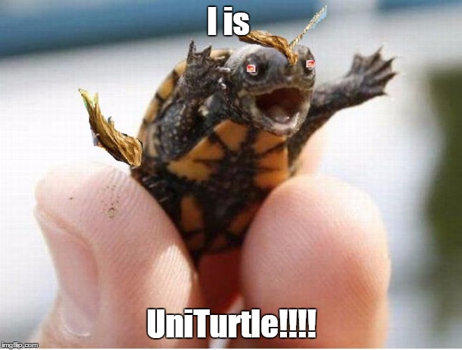 I is UniTurtle!!!! | image tagged in i is uniturtle | made w/ Imgflip meme maker