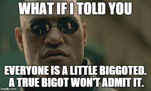 Matrix Morpheus Meme | WHAT IF I TOLD YOU EVERYONE IS A LITTLE BIGGOTED. A TRUE BIGOT WON'T ADMIT IT. | image tagged in memes,matrix morpheus | made w/ Imgflip meme maker