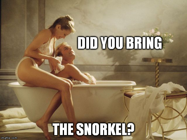 DID YOU BRING THE SNORKEL? | image tagged in bath time | made w/ Imgflip meme maker