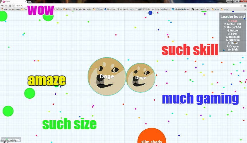 Doge is the first! | wow such skill much gaming amaze such size | image tagged in doge,9gag,memes,agar,agario | made w/ Imgflip meme maker