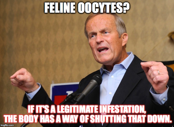 Feline Fears | FELINE OOCYTES? IF IT'S A LEGITIMATE INFESTATION, THE BODY HAS A WAY OF SHUTTING THAT DOWN. | image tagged in cats,oocytes,todd akin,shutdown | made w/ Imgflip meme maker
