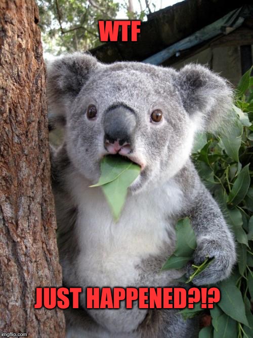 Surprised Koala | WTF JUST HAPPENED?!? | image tagged in memes,surprised koala | made w/ Imgflip meme maker