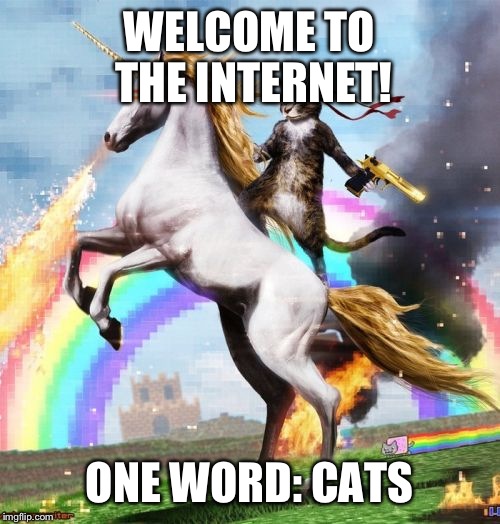 Welcome To The Internets | WELCOME TO THE INTERNET! ONE WORD: CATS | image tagged in memes,welcome to the internets | made w/ Imgflip meme maker