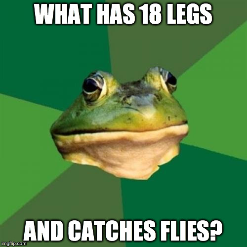 Foul Bachelor Frog Meme | WHAT HAS 18 LEGS AND CATCHES FLIES? | image tagged in memes,foul bachelor frog | made w/ Imgflip meme maker