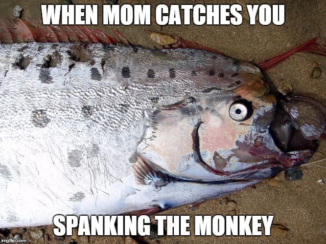 Something's fishy | WHEN MOM CATCHES YOU SPANKING THE MONKEY | image tagged in masterbation | made w/ Imgflip meme maker