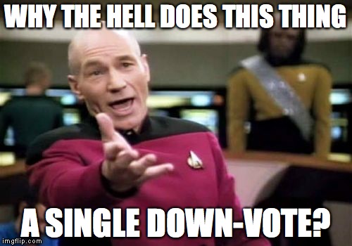 Picard Wtf Meme | WHY THE HELL DOES THIS THING A SINGLE DOWN-VOTE? | image tagged in memes,picard wtf | made w/ Imgflip meme maker