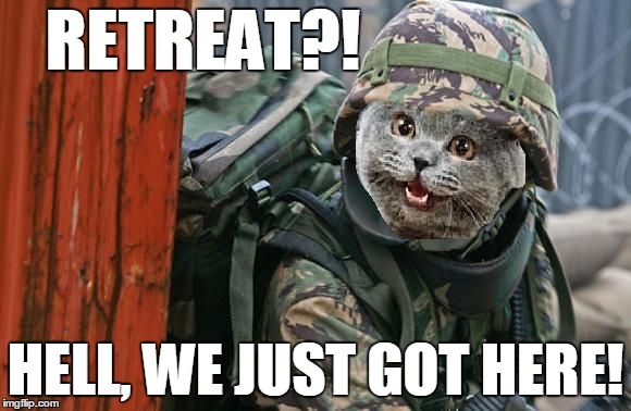 RETREAT?! HELL, WE JUST GOT HERE! | image tagged in world war i cat,lloyd w williams,usmc | made w/ Imgflip meme maker