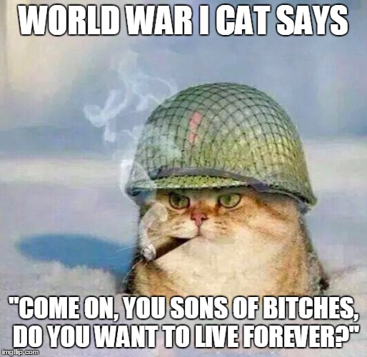 War Cat | WORLD WAR I CAT SAYS "COME ON, YOU SONS OF B**CHES, DO YOU WANT TO LIVE FOREVER?" | image tagged in war cat,world war i cat,daniel daly,usmc | made w/ Imgflip meme maker