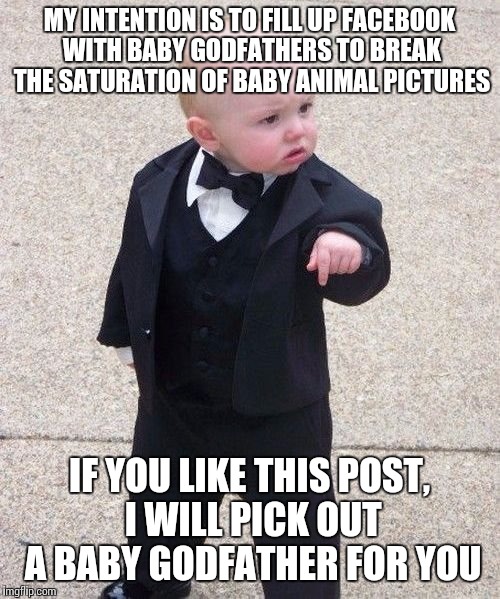 Who can refuse that face! | MY INTENTION IS TO FILL UP FACEBOOK WITH BABY GODFATHERS TO BREAK THE SATURATION OF BABY ANIMAL PICTURES IF YOU LIKE THIS POST, I WILL PICK  | image tagged in memes,baby godfather | made w/ Imgflip meme maker